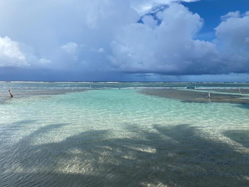 Hotel Blue Reef Frente Al Mar マアウアル エクステリア 写真